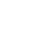 IEPL(1).png