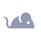Mouse(2).png