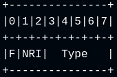 FU Indicator byte structure