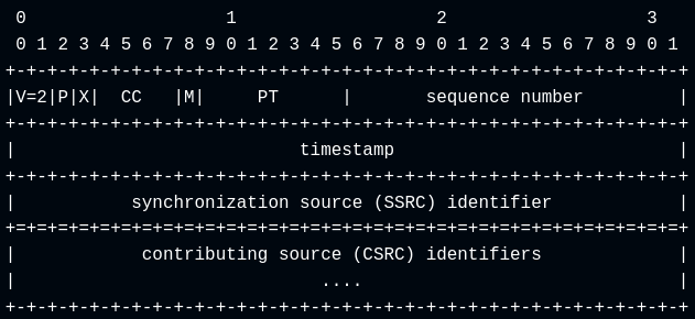 RTP header structure