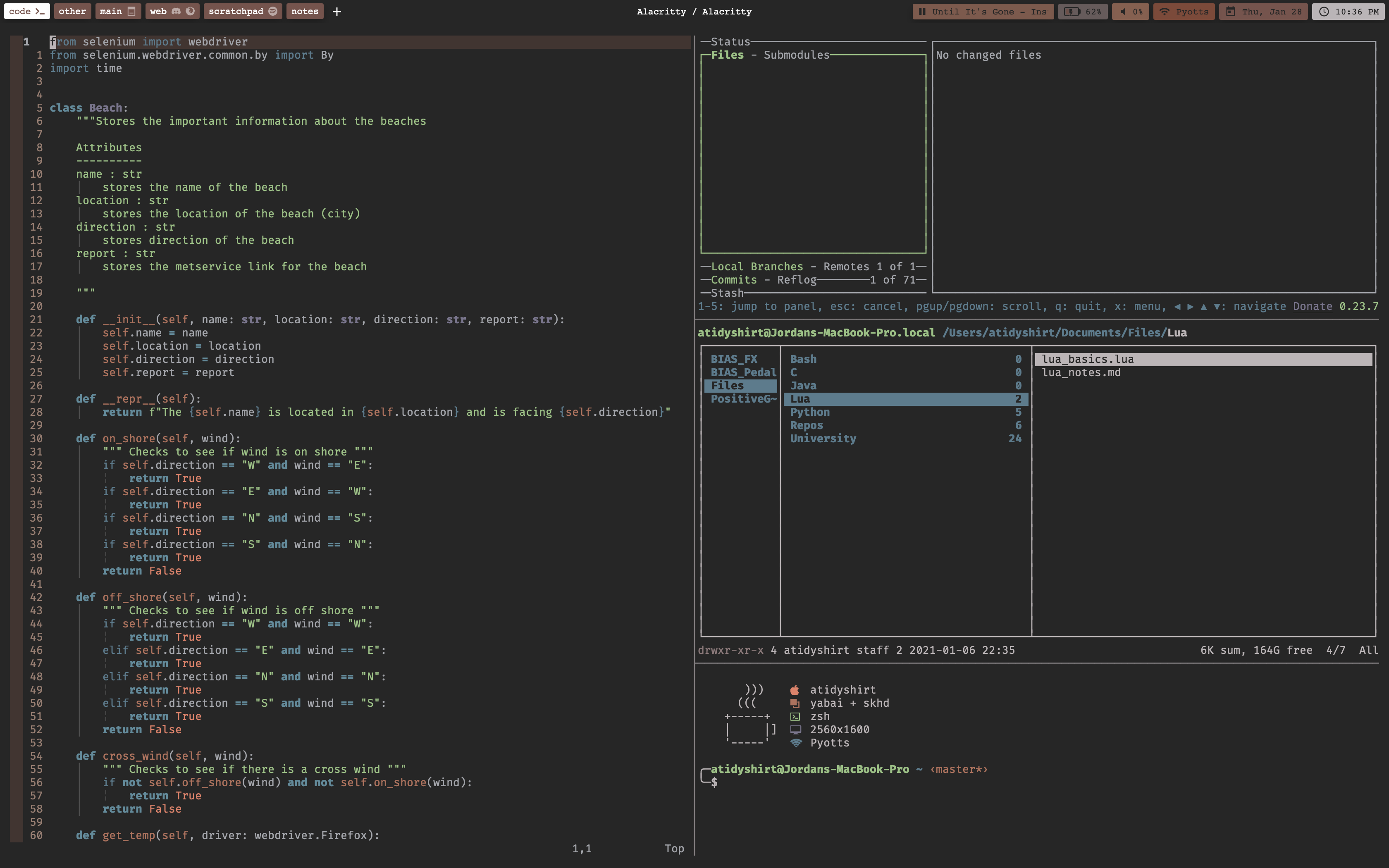 vim and term