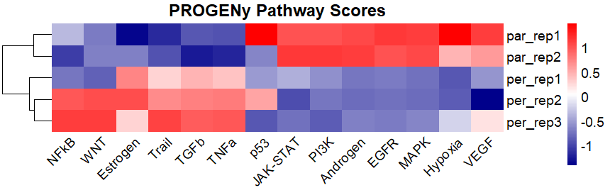 Overall_Reps_Pathways