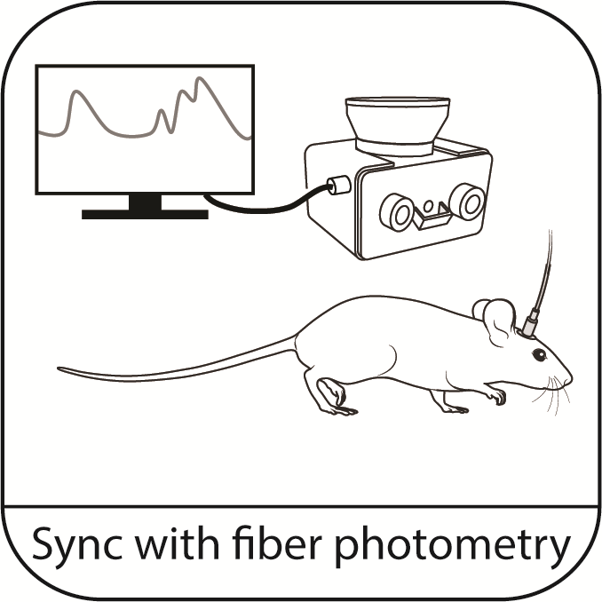 Photometry_FED