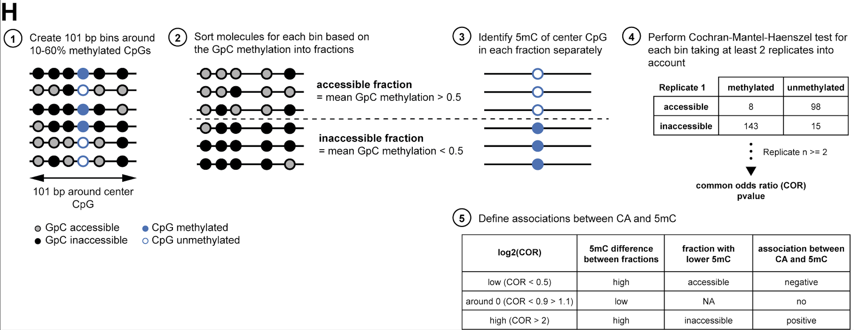 Kreibich et al, 2023. Figure S1H - Schematic description of CA analysis strategy