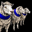 husbandry husbandry