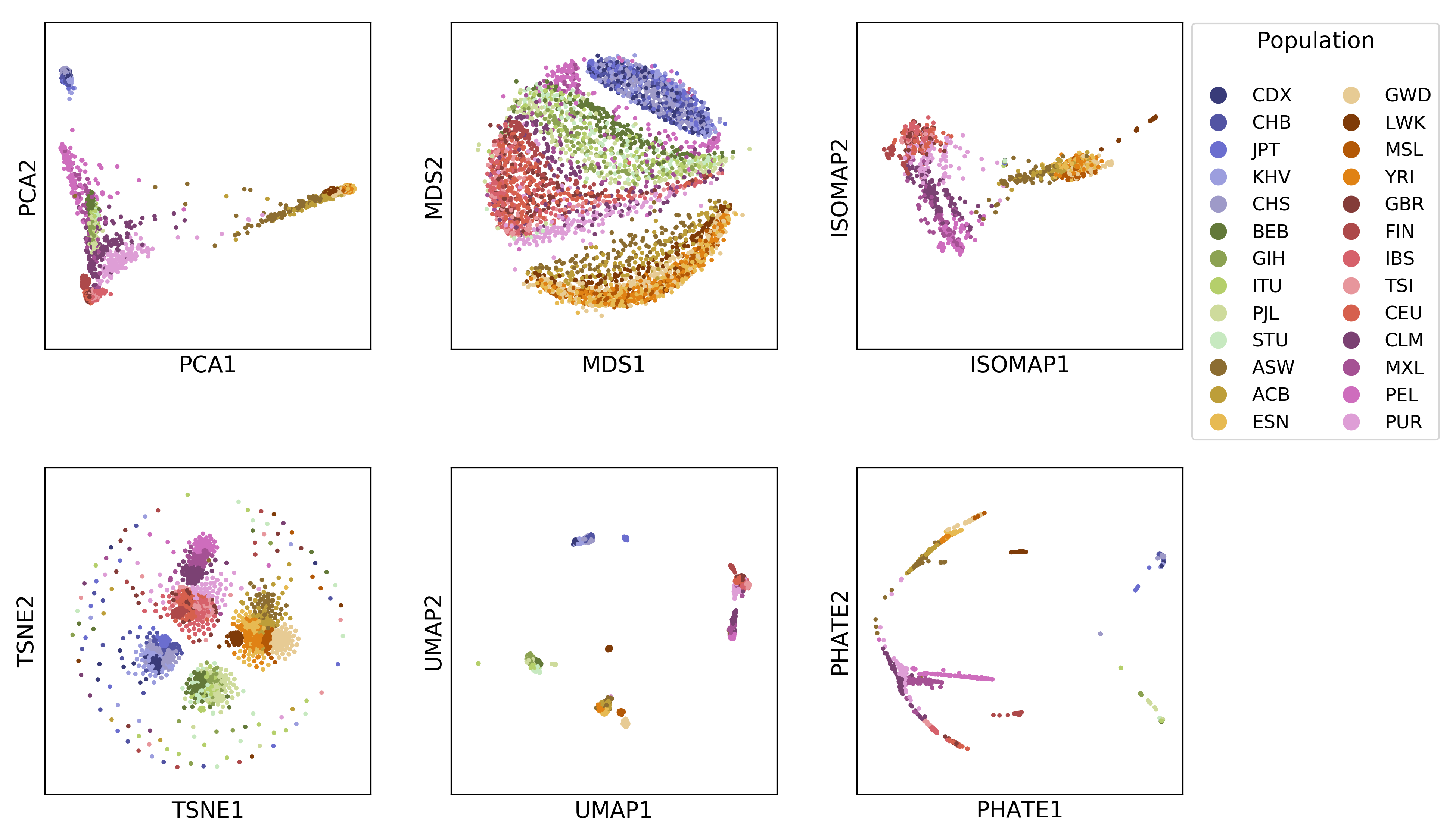 1000 - Genomes comparison
