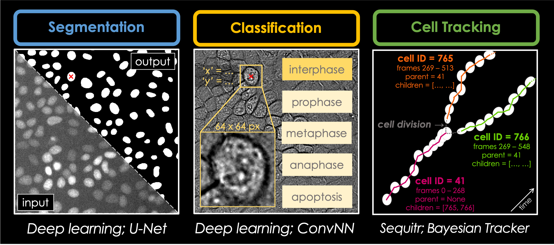 Pipeline Flowchart "Flowchart representing our deep learning-based image analysis pipeline"