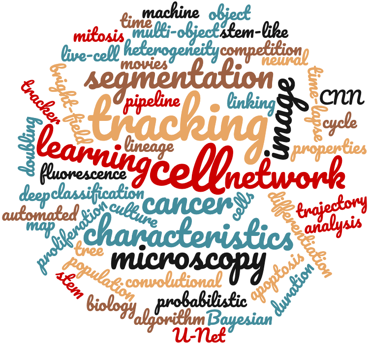 Key Words of my PhD project "Word cloud summarising the key words of my PhD project"