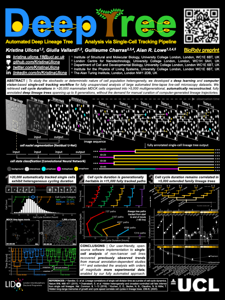 DeepTree Project Poster