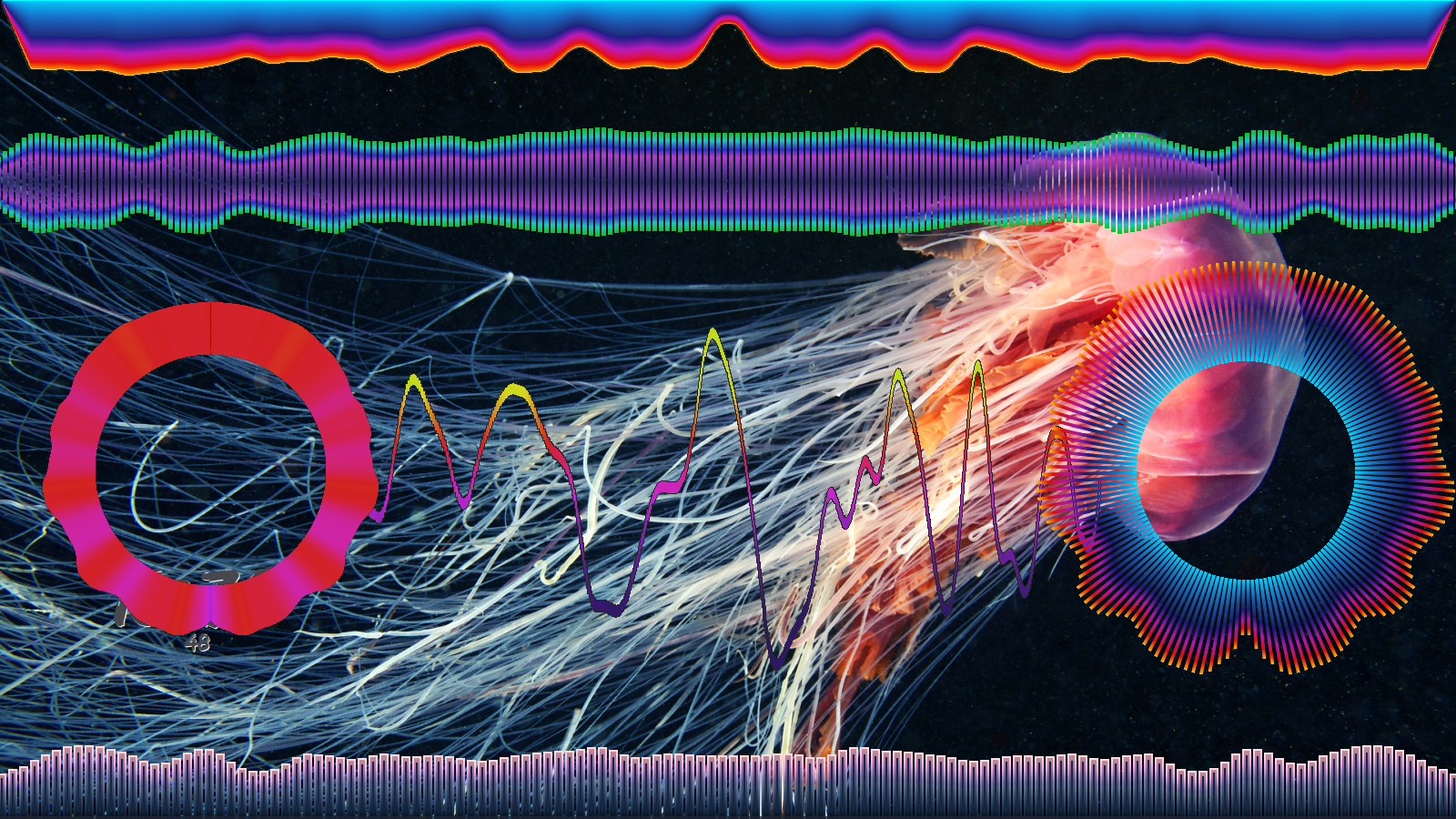 Multiple GLava instances on one screen