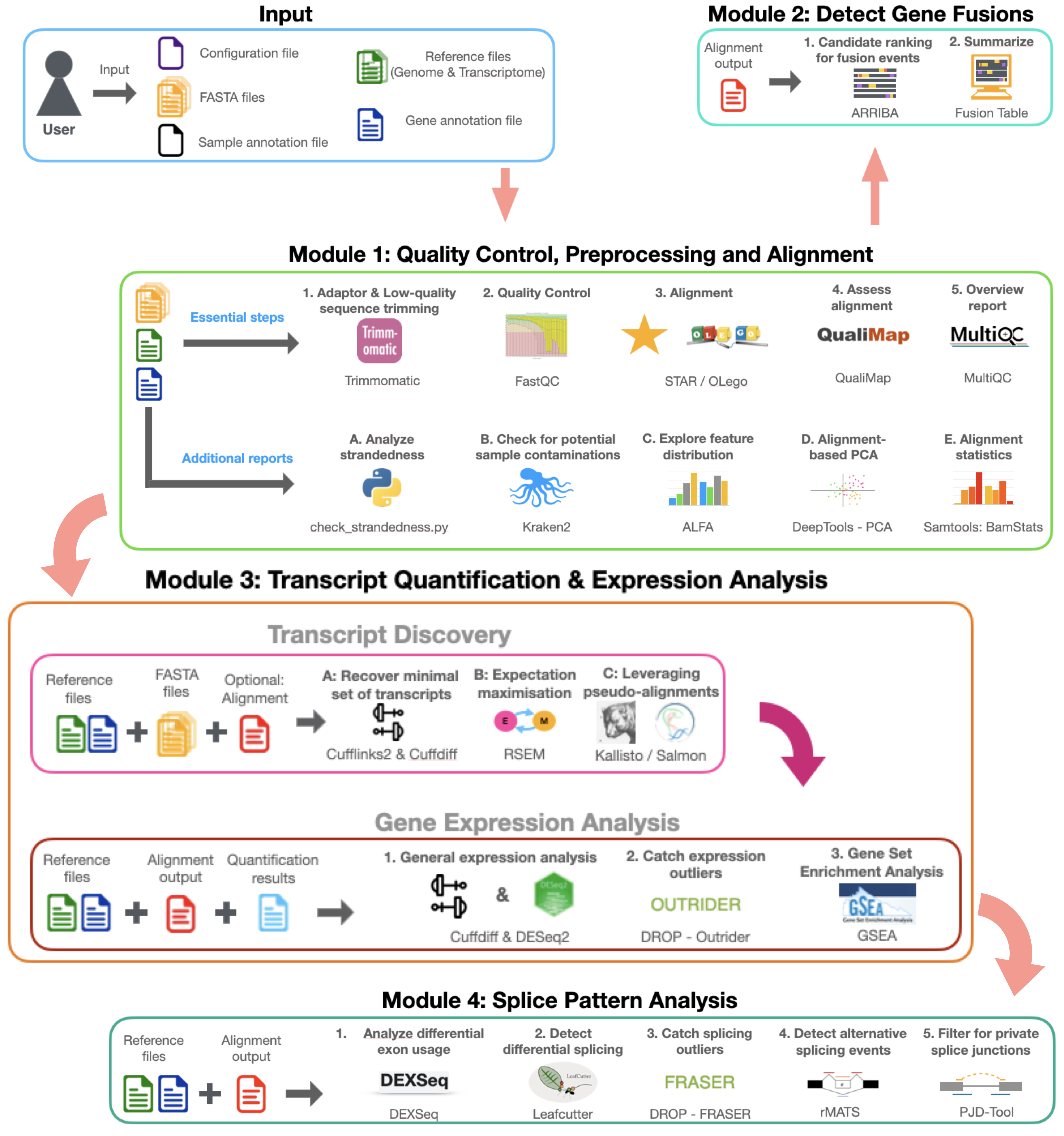 SnakeSplice Workflow Diagram