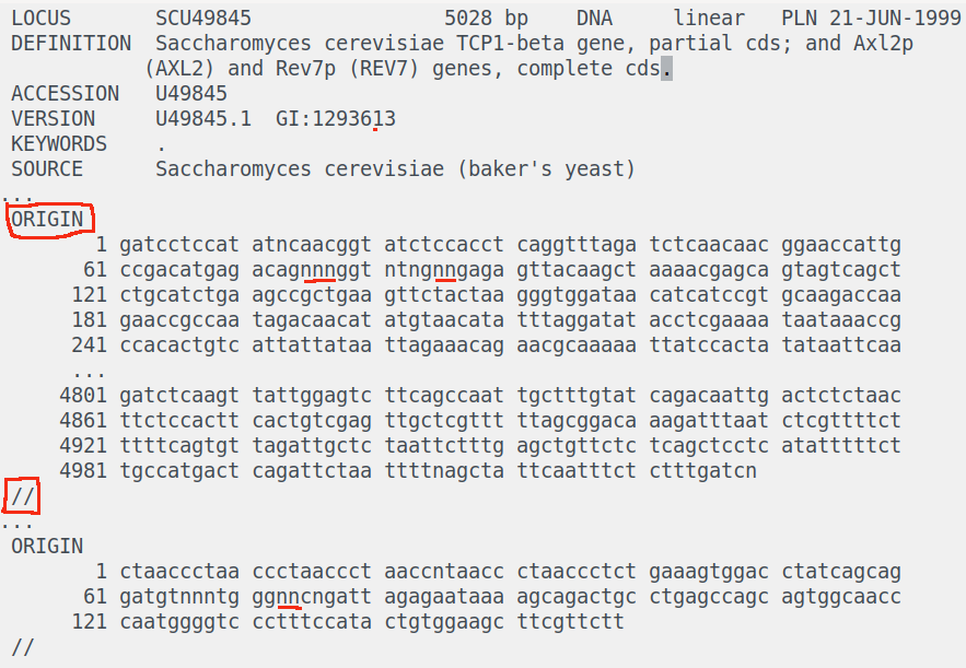 Sample GeneBank file