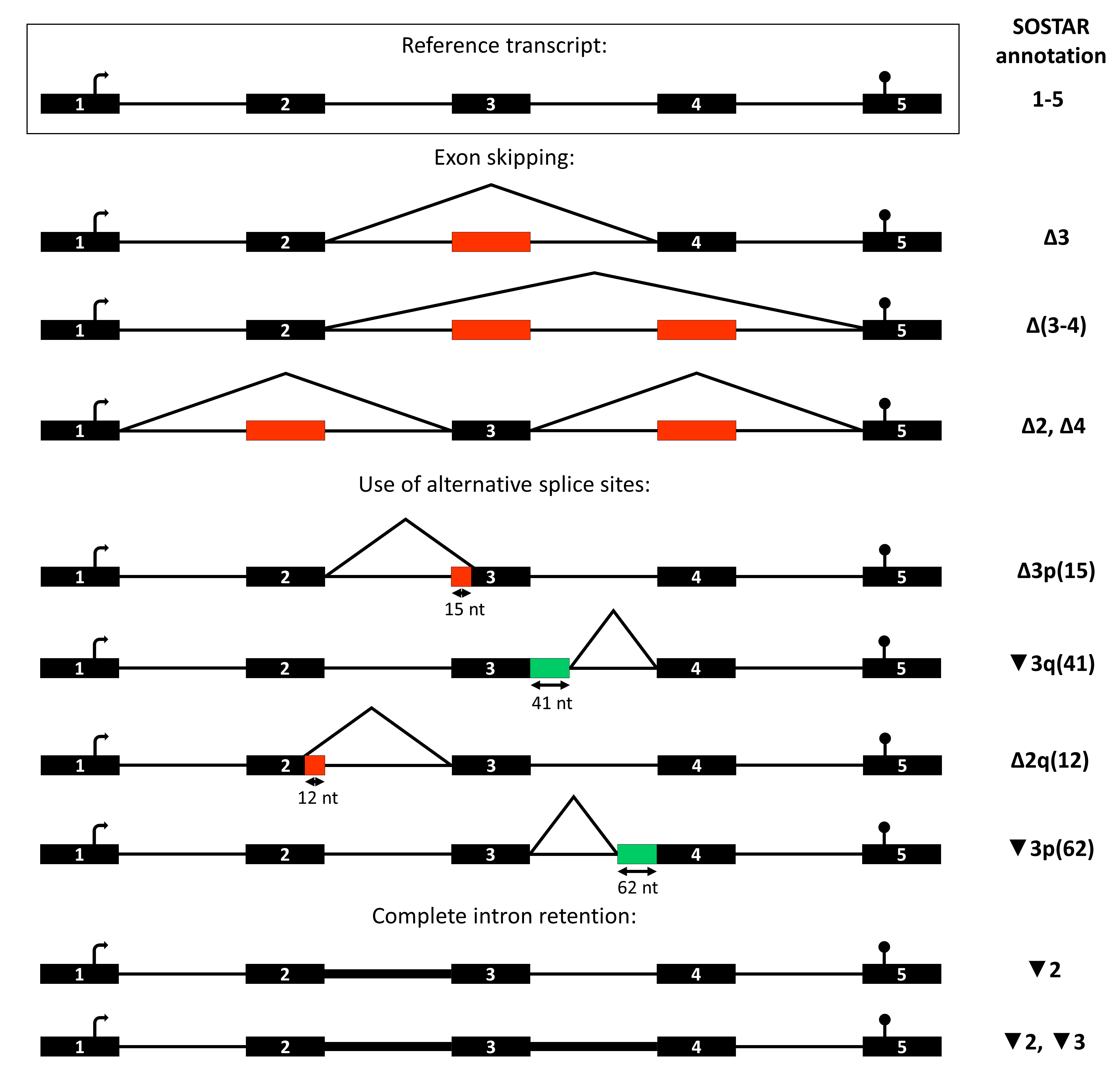 SOSTAR_nomenclature