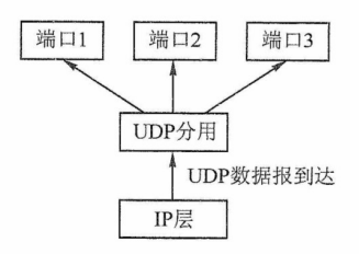 UDP基于端口的分用
