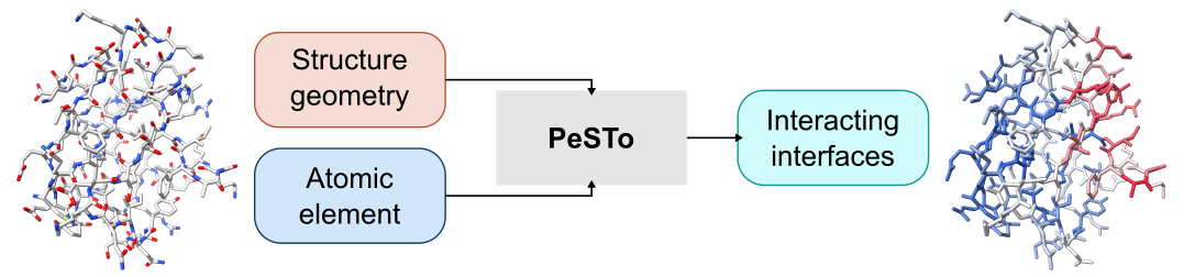 pesto summary