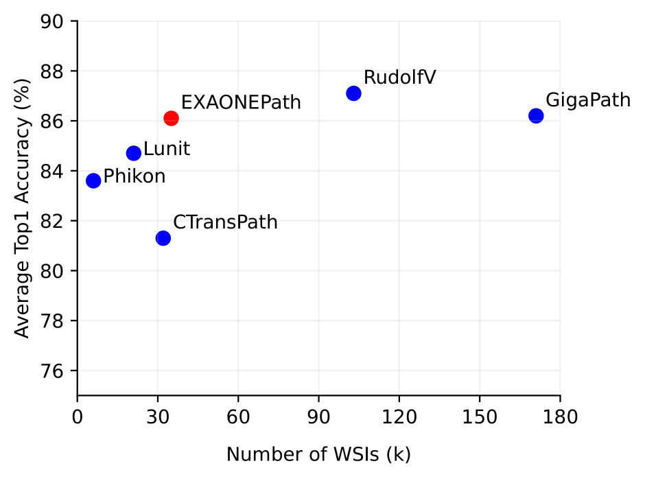 Model Comparison WSIS