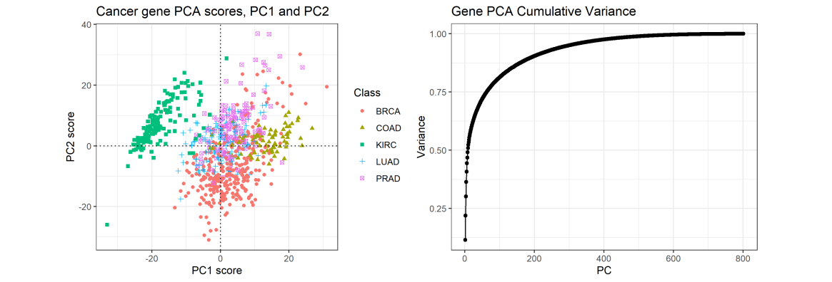 GitHub - LKPelayoUribe/PCA-and-SPCA-Analysis: High Dimensional Data ...