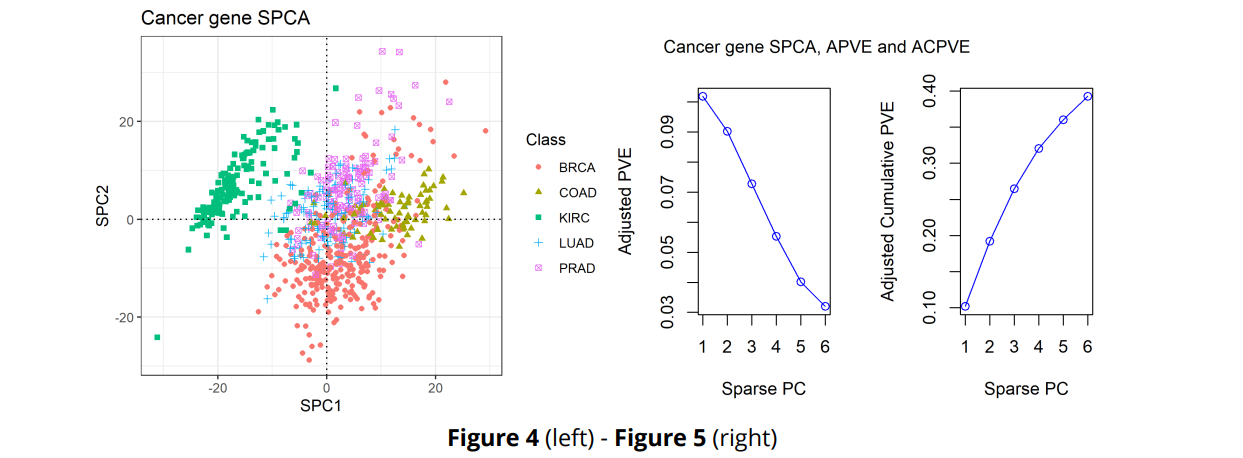 GitHub - LKPelayoUribe/PCA-and-SPCA-Analysis: High Dimensional Data ...