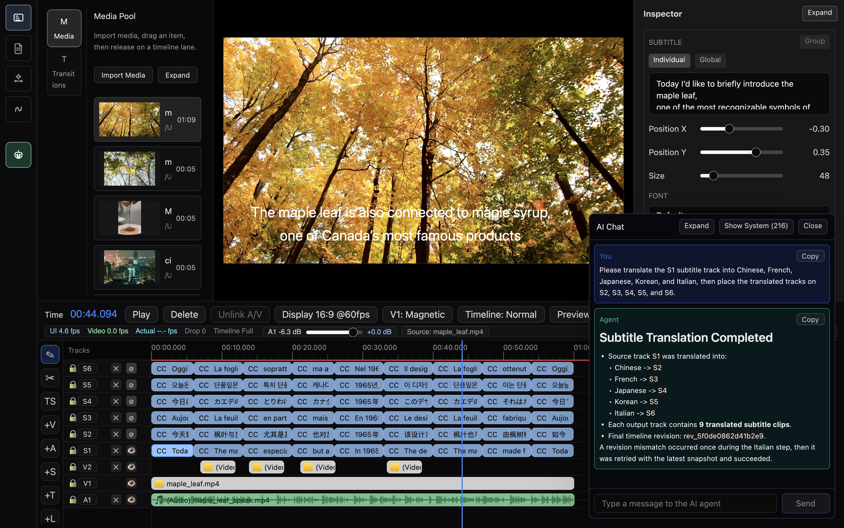 Anica subtitle translation workflow screenshot
