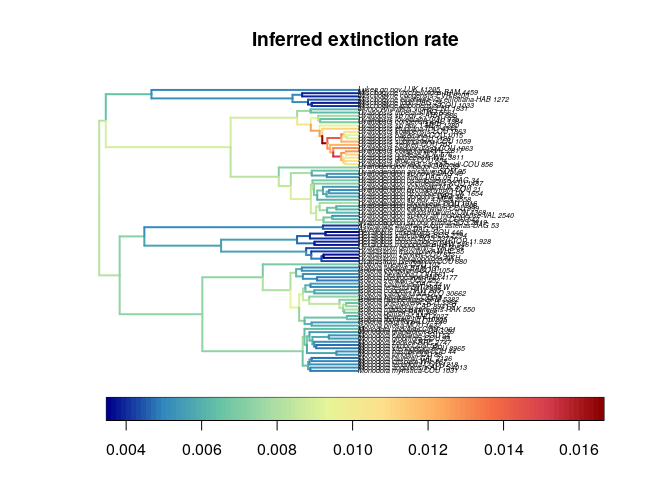 Speciation rate