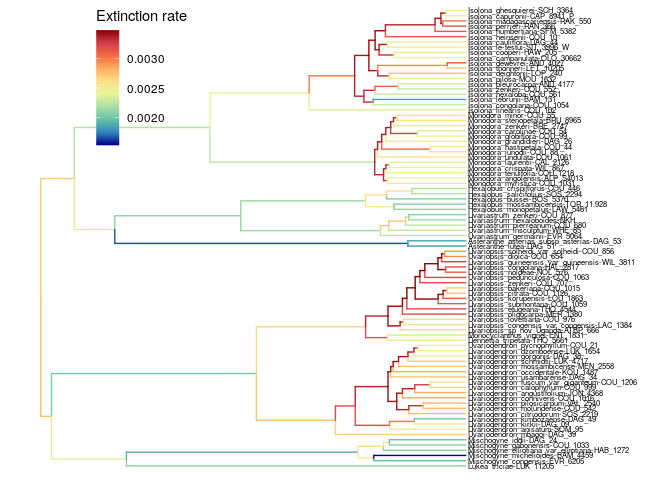 Extinction rate