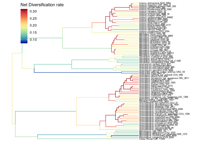 Net diversification rate