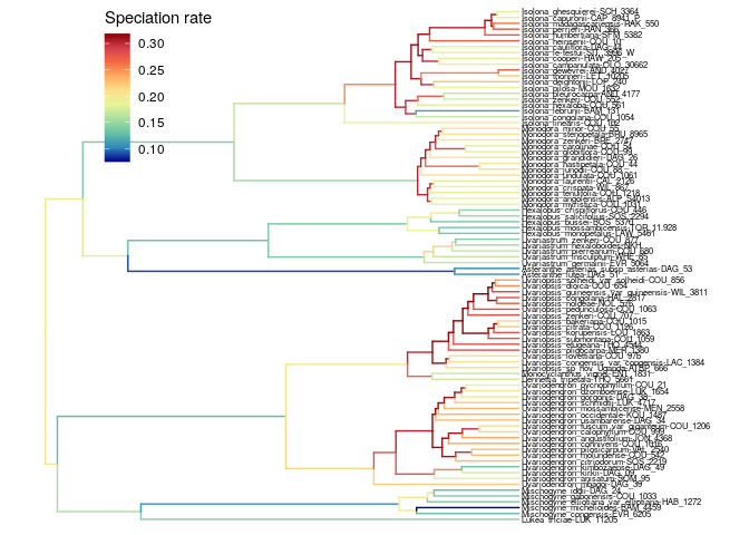 Speciation rate