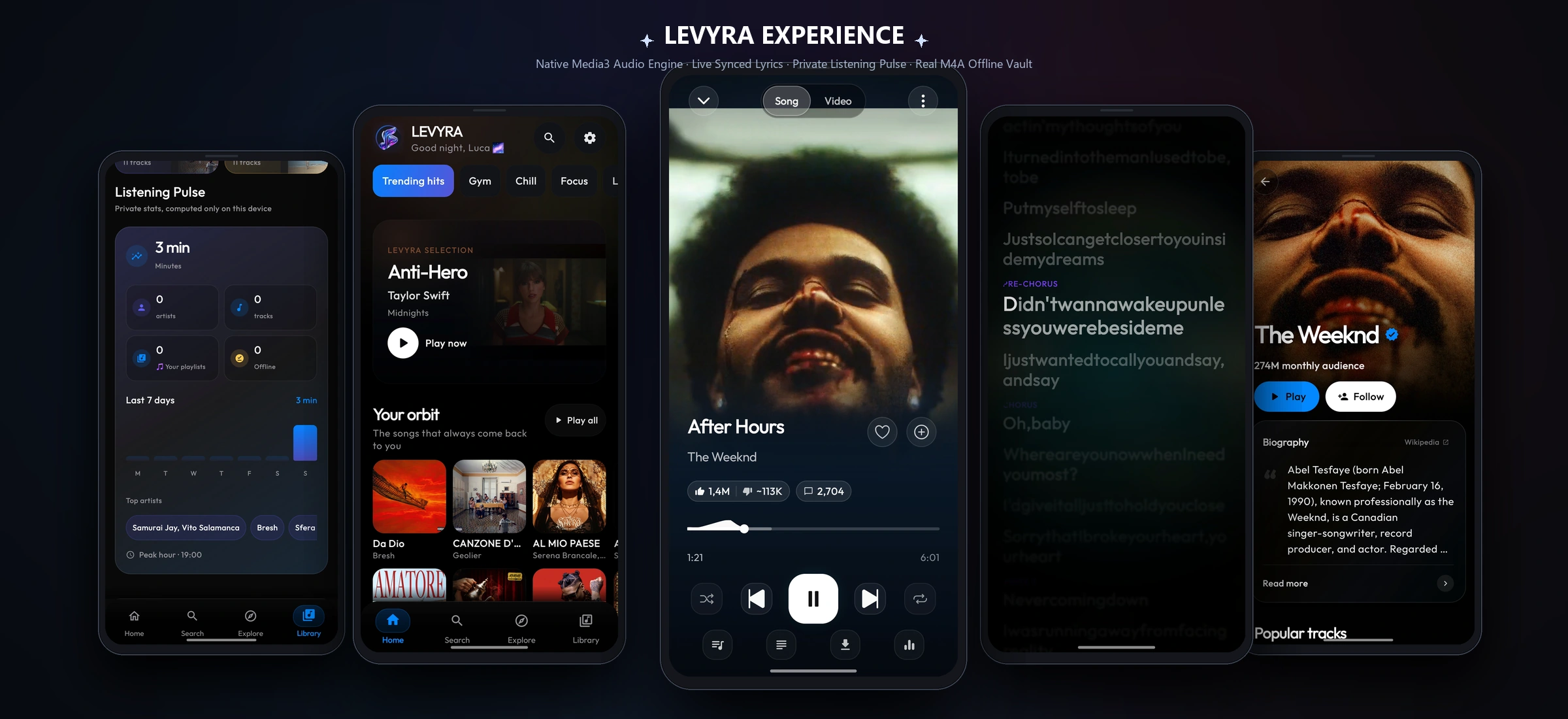 Levyra Panoramic Experience Showcase