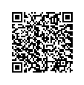 Imagem ilustrativa (substitua por QR Code real)