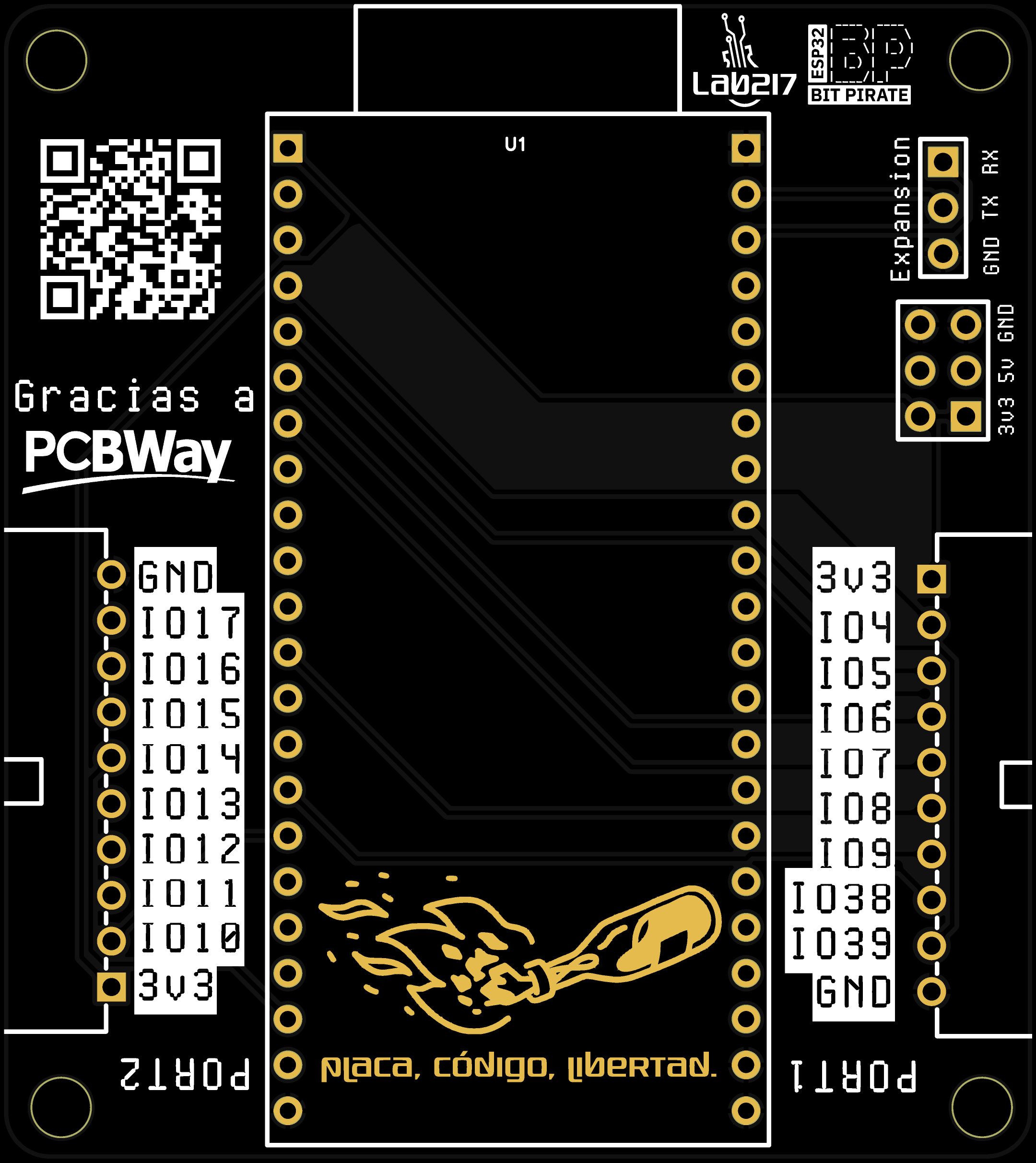BitPirate Main, from the project README