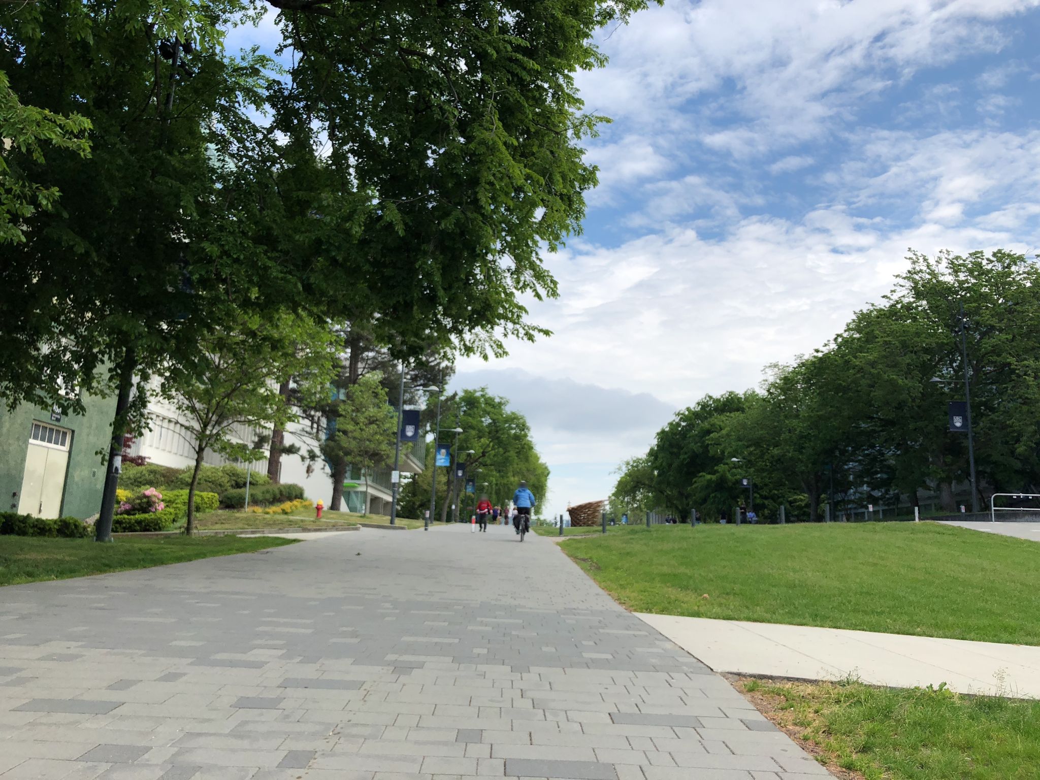 UBC campus street input