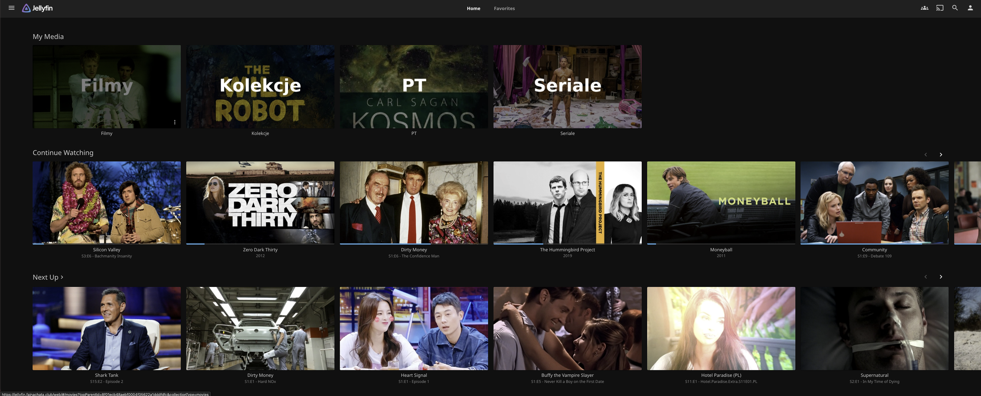 Jellyfin media library