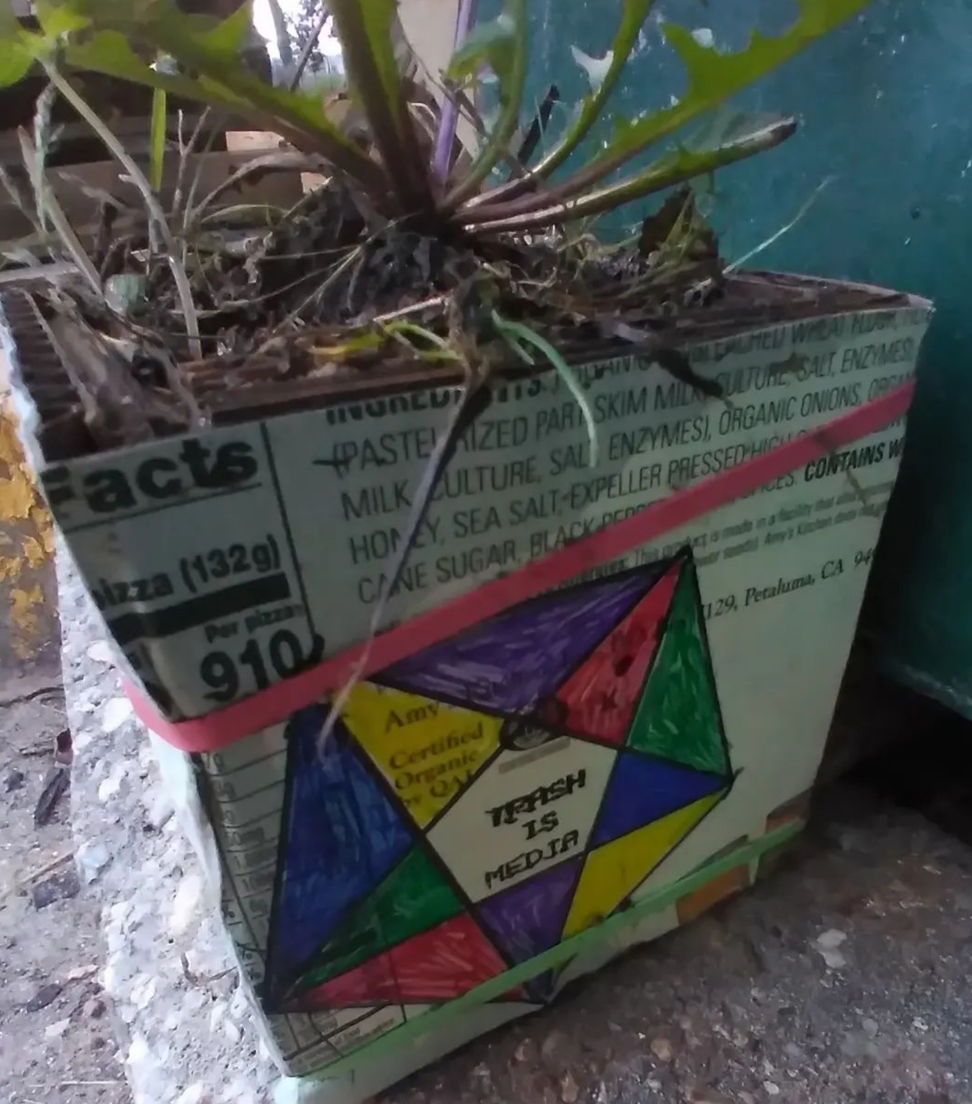 a cardboard cube with a dandylion in it