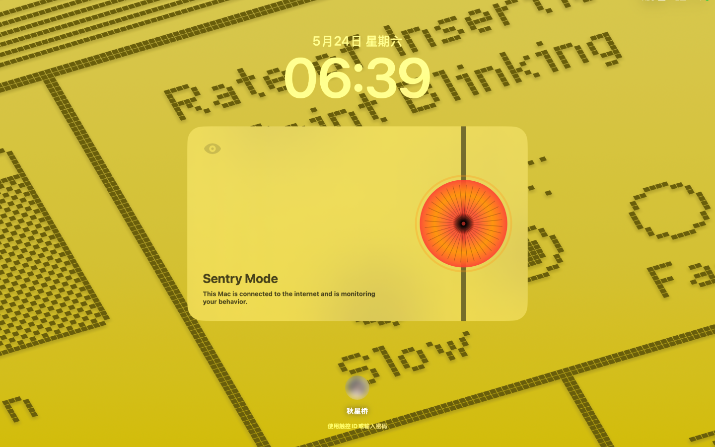 Sentry screenshot 1