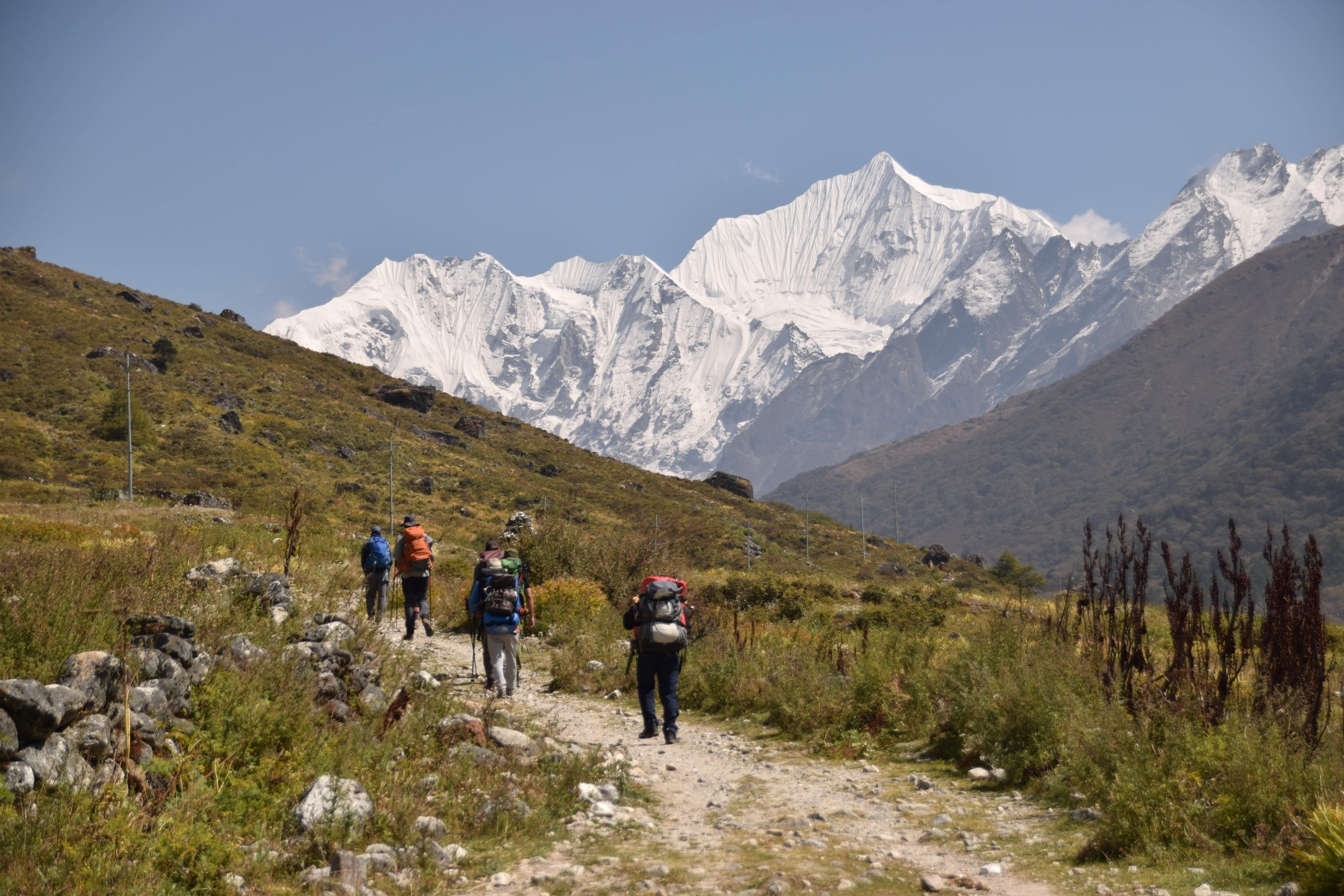 Langtang Valley Trek for Advanced Hikers - trekking route in Nepal