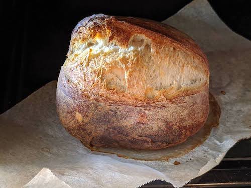 a round brown loaf of bread with a good oven spring and a good ear