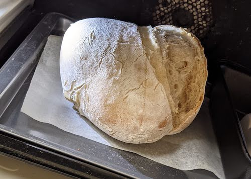 White dough mid-baking, with a big ear