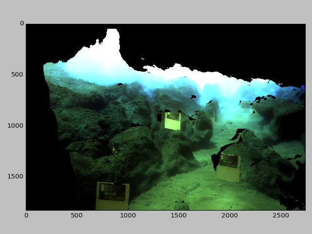 J1c_reconstruction