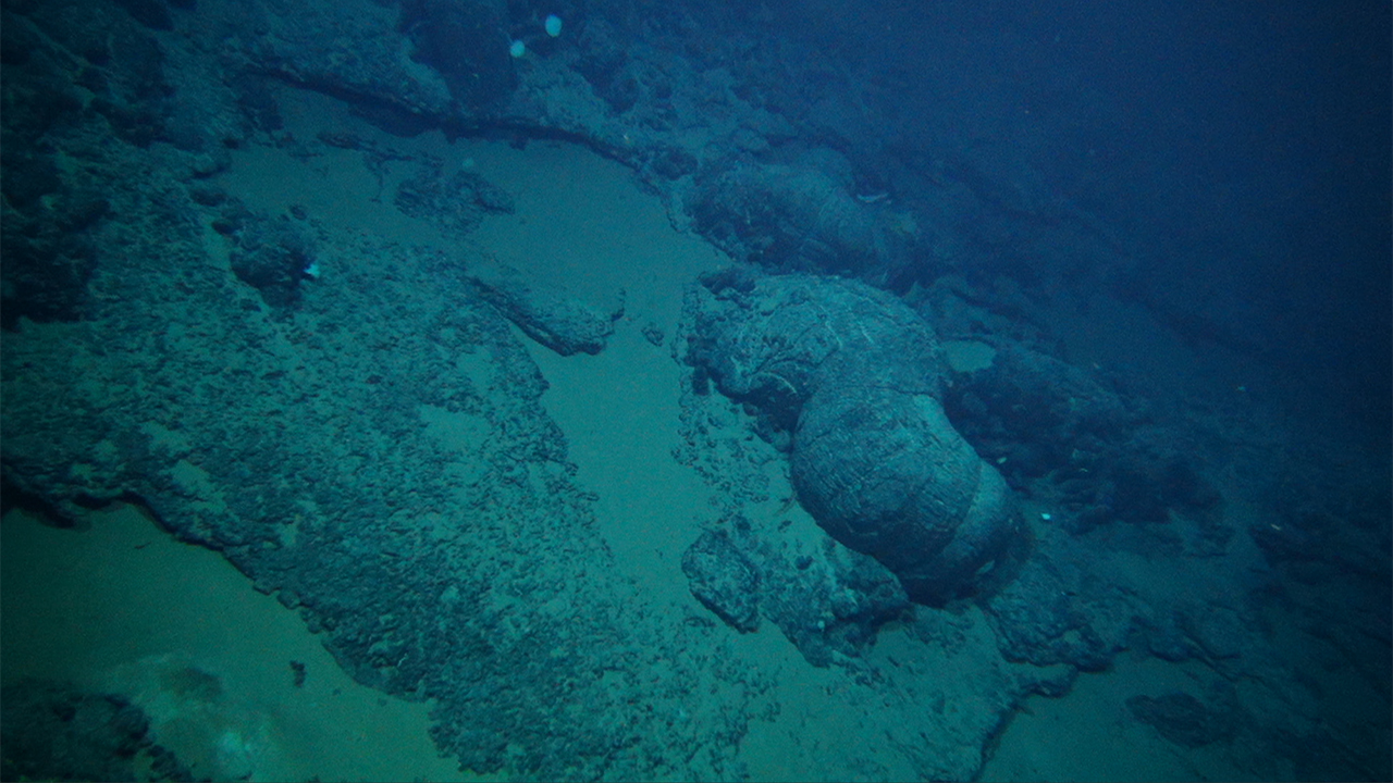 Adams Seamount volcano