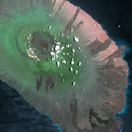 Alcedo volcano