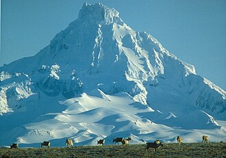 Isanotski volcano