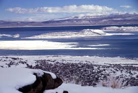Mono Lake Volcanic Field volcano