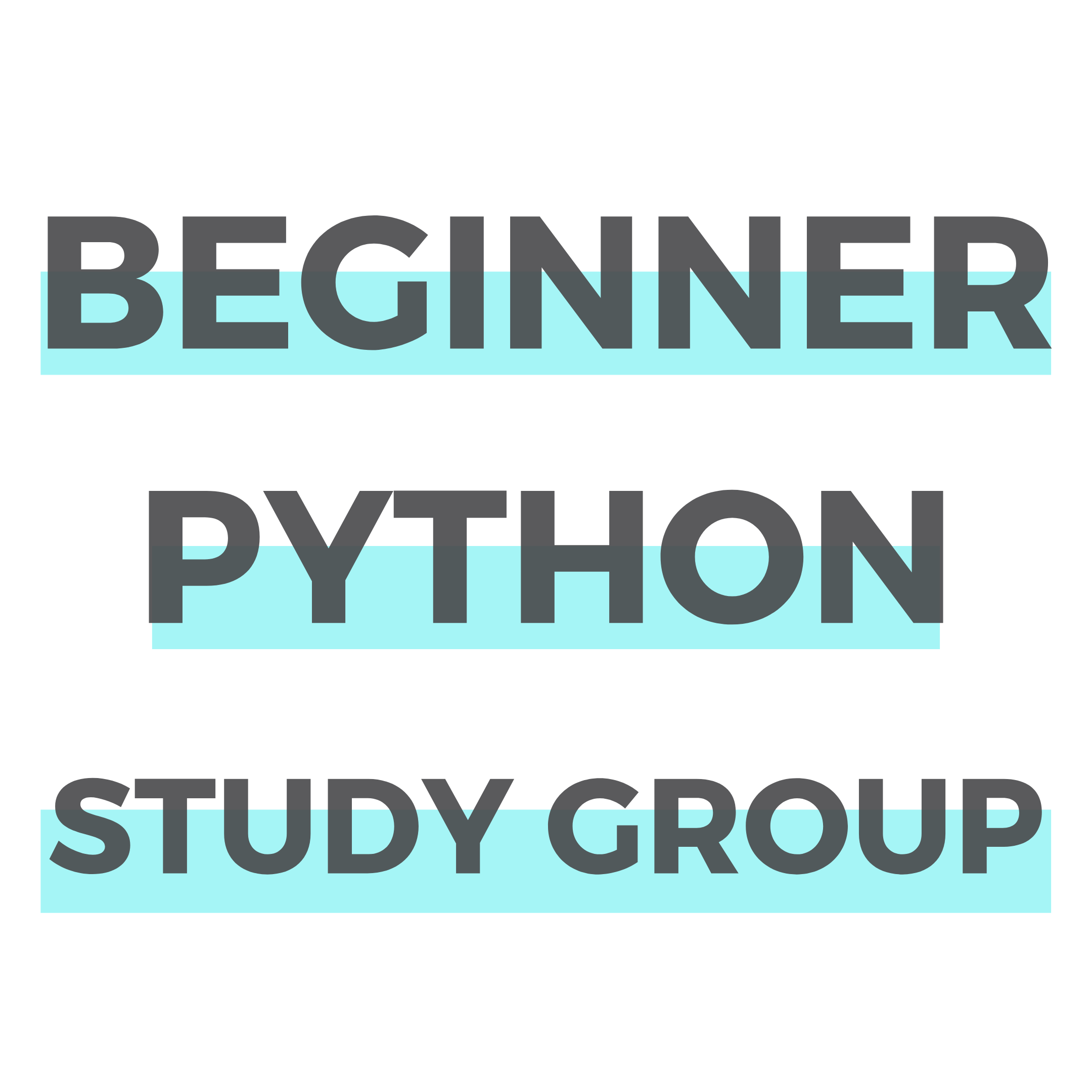 Beginner Python Study Group
