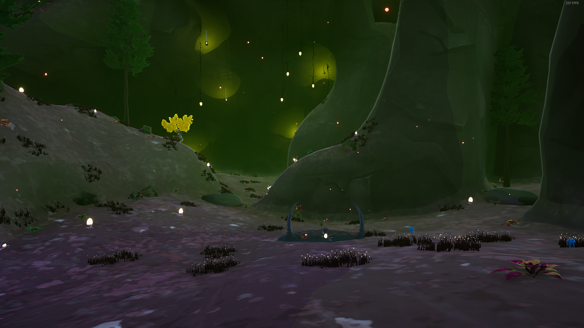 Image3