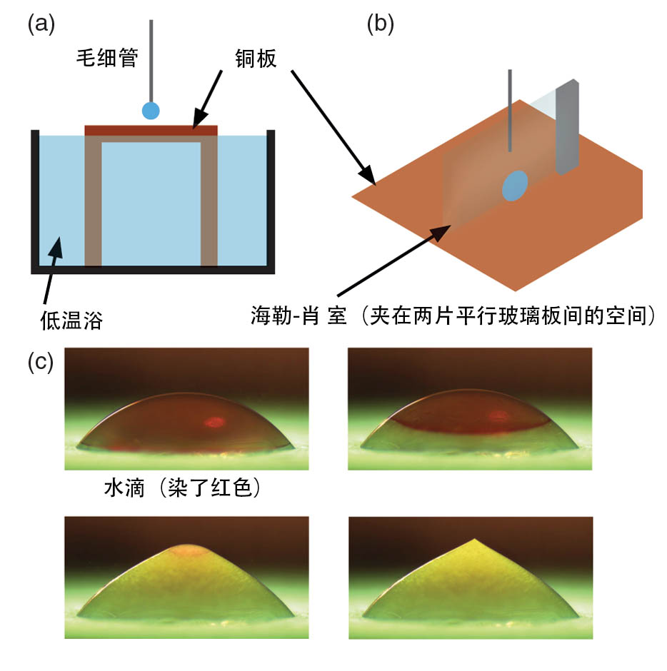 水滴结冰实验