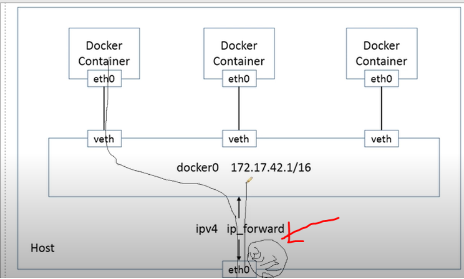 docker-docker-networking