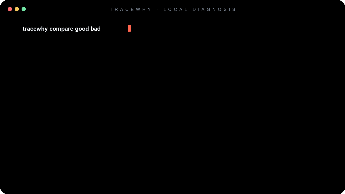 TraceWhy identifies a missing file from real trace evidence