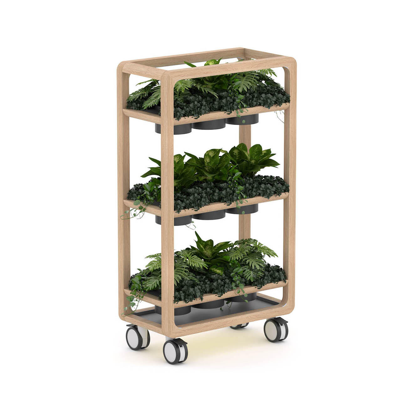 Rover Mobile Planter, H1620 mm