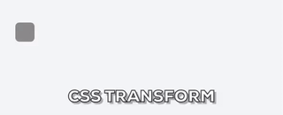 CSS Transform