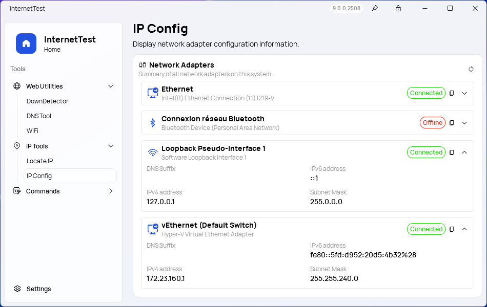 A screenshot of the 'IP Config' page of InternetTest Pro
